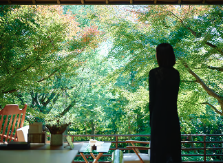 神奈川の体験一覧