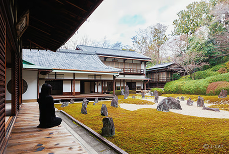 寺院拝観