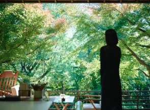 神奈川の体験一覧