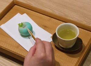 東京の体験一覧