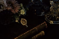 experience-image-22