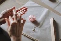 experience-image-1