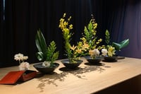 experience-image-6