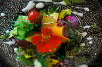 experience-image-6