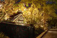 experience-image-7