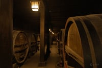 experience-image-30