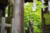 experience-image-6