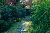 experience-image-6
