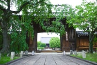 experience-image-10