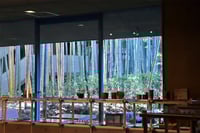 experience-image-9