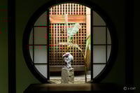 experience-image-5