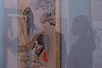 experience-image-28