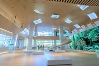 experience-image-6