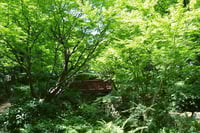 experience-image-16