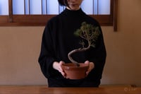 experience-image-5