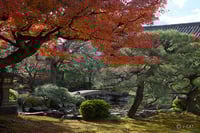 experience-image-4