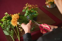 experience-image-11