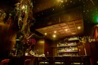 experience-image-3