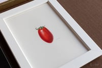 experience-image-15