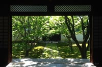 experience-image-9