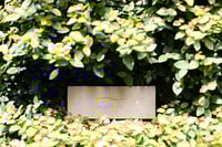 experience-image-22