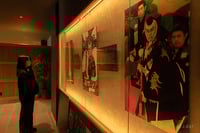 experience-image-10