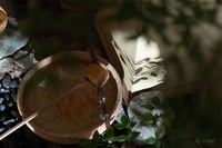 experience-image-24