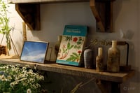 experience-image-11