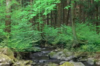 experience-image-29