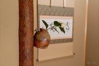 experience-image-21