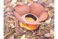experience-image-7