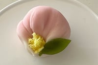 experience-image-10