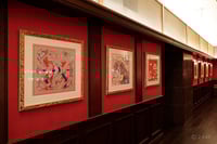 experience-image-8