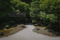 experience-image-7