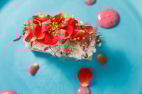 experience-image-2