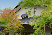 experience-image-6