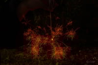 experience-image-7