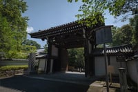 experience-image-12