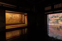 experience-image-12