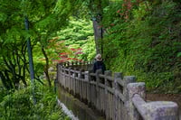 experience-image-13