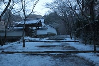 experience-image-23