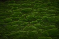 experience-image-3