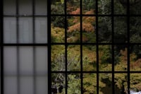 experience-image-24