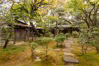 experience-image-20