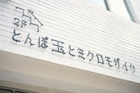 experience-image-15