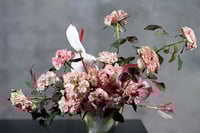 experience-image-21