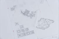 experience-image-13