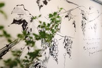 experience-image-14