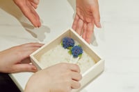 experience-image-18