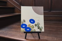 experience-image-14